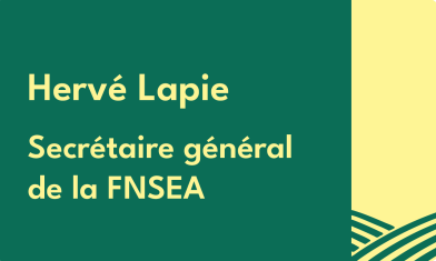 HABILLAGE ET VIGNETTES-09