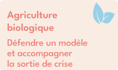 VIGNETTTES V2-19