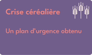 VIGNETTTES V2-20
