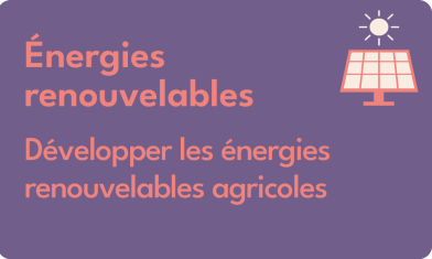 VIGNETTTES V2 ENERGIES RENOUVELABLES