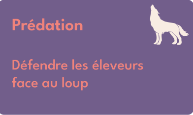 VIGNETTTES V2 PREDATION