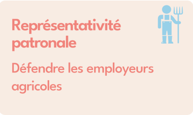 VIGNETTTES V2 Représentativité patronale 