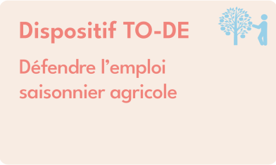 VIGNETTTES V2 TO-DE