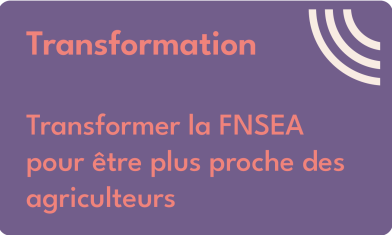 VIGNETTTES V2 TRANSFORMATION