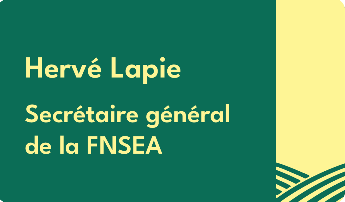 HABILLAGE ET VIGNETTES-09